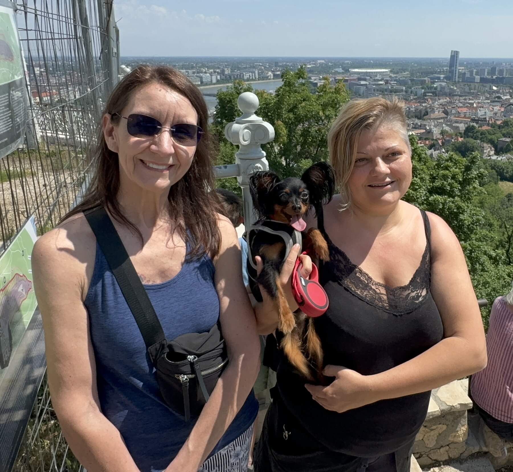 Canada_Radir and Savanna_owner visit us and get russian toy puppy 1