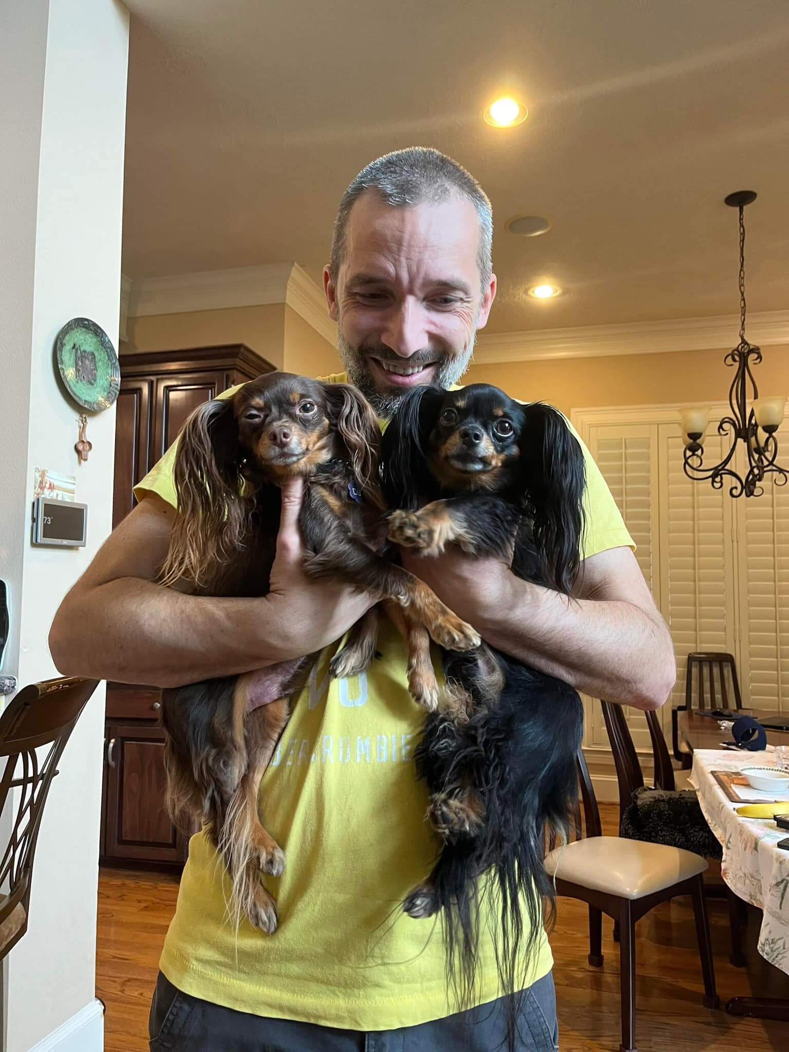 DJ and Domino russian toy dog visit