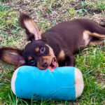 Újabb blog bejegyzés