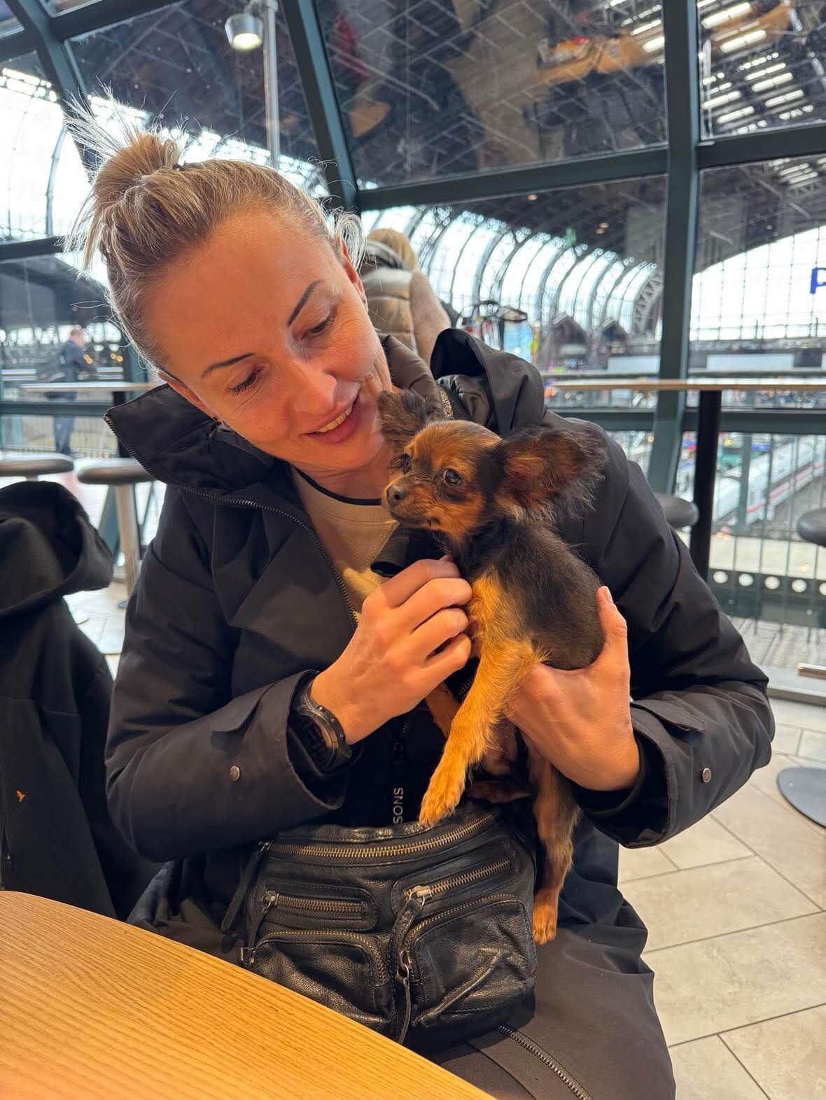 Denmark_Alfa_owner get russian toy puppy 1