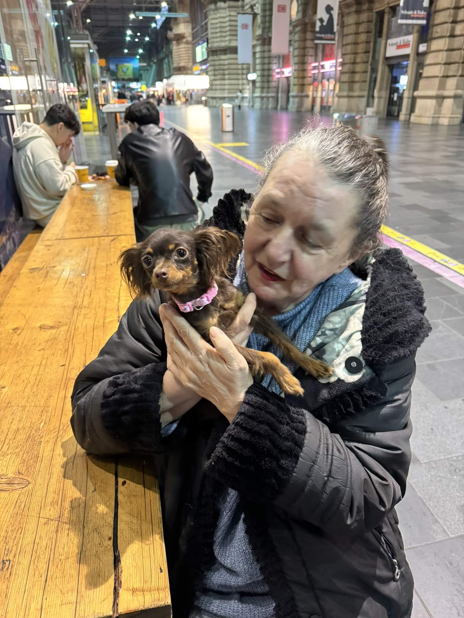 Germany_Kiwi_owner get russian toy adult dog 1