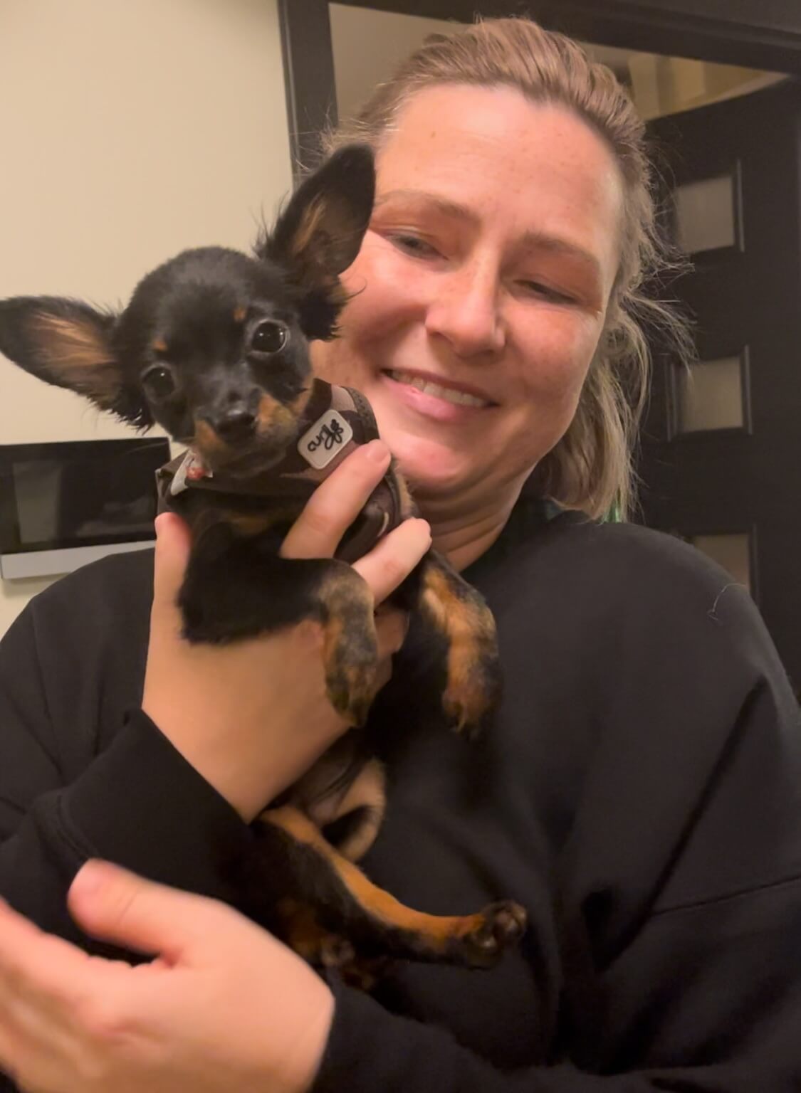 Germany_Xanni_owner visit us and get russian toy puppy 1