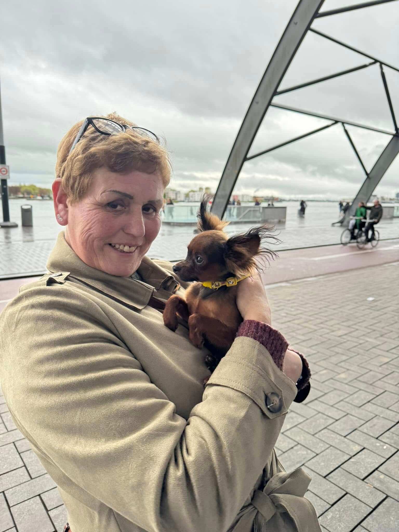 Netherlands_Quicky_owner get russian toy puppy 1