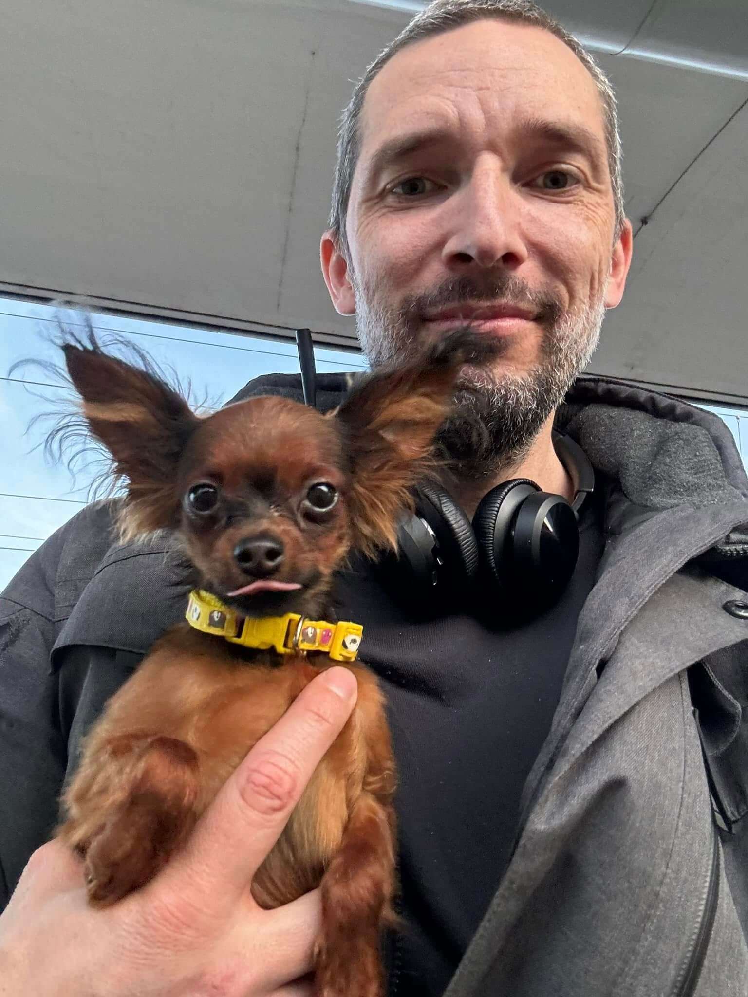 Netherlands_Quicky_russian toy puppy travel1
