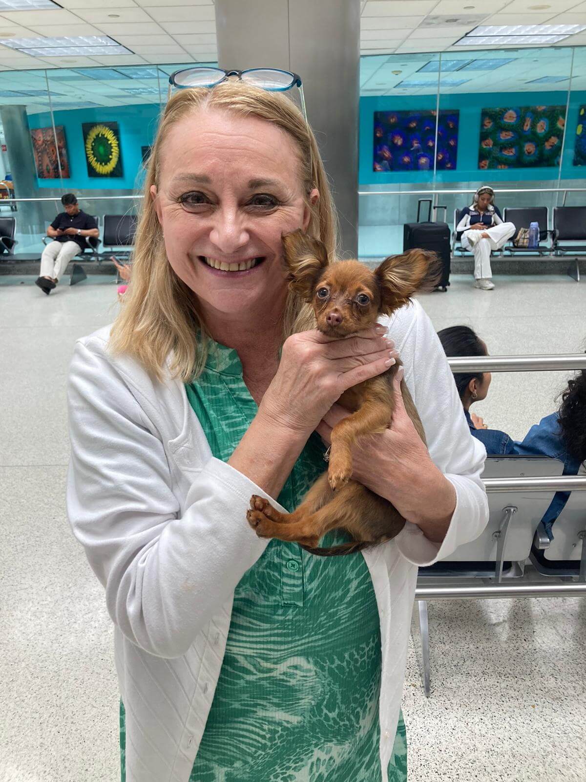 USA_Mandarin_owner get russian toy puppy 1