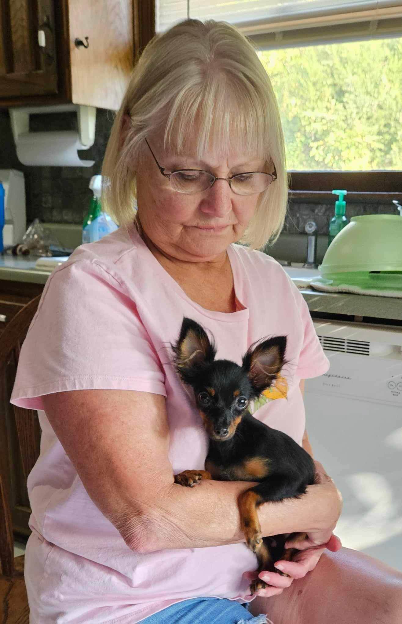 USA_Oprah_owner get russian toy puppy 2