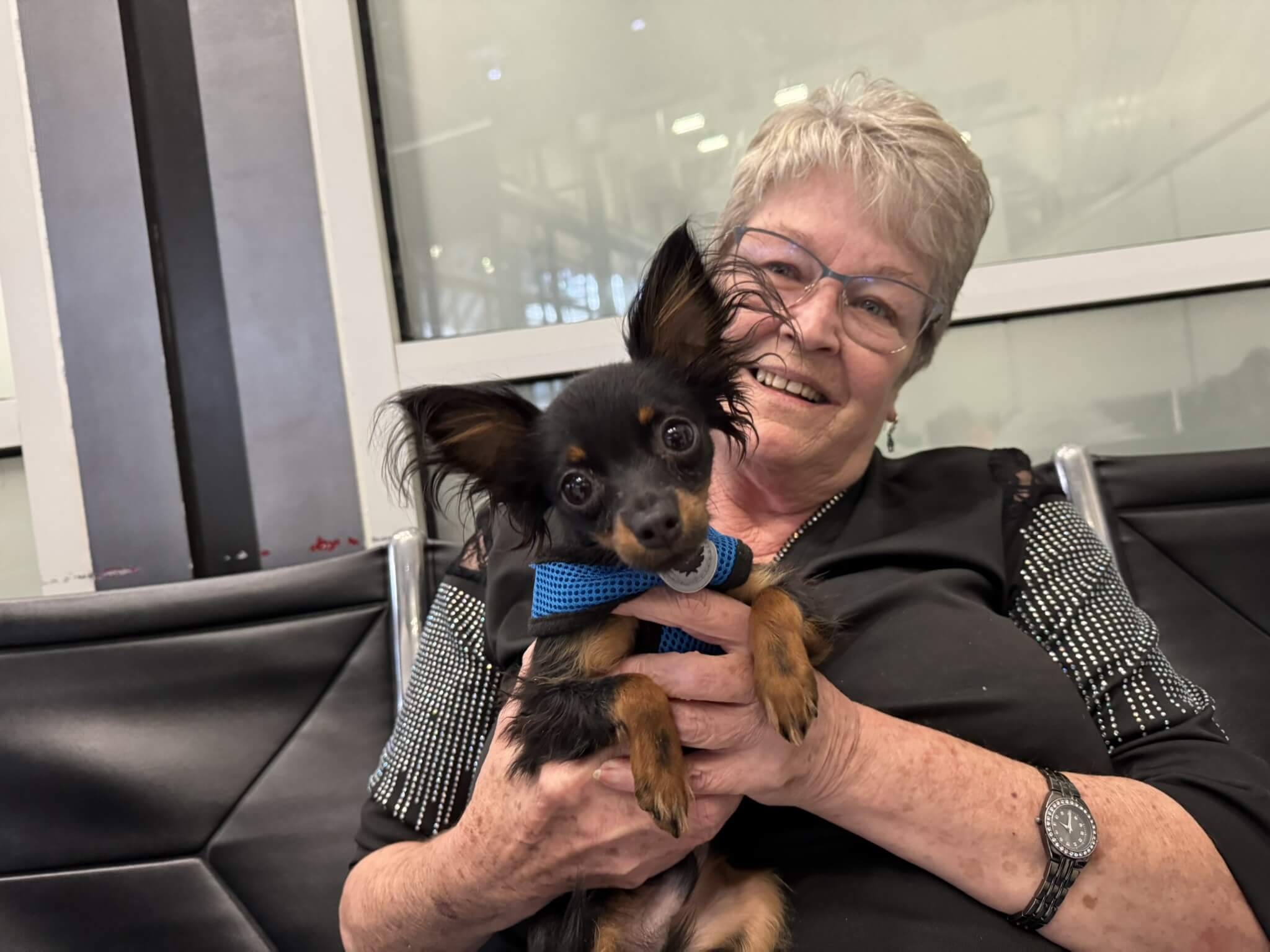 USA_Vitez_owner get russian toy puppy 1