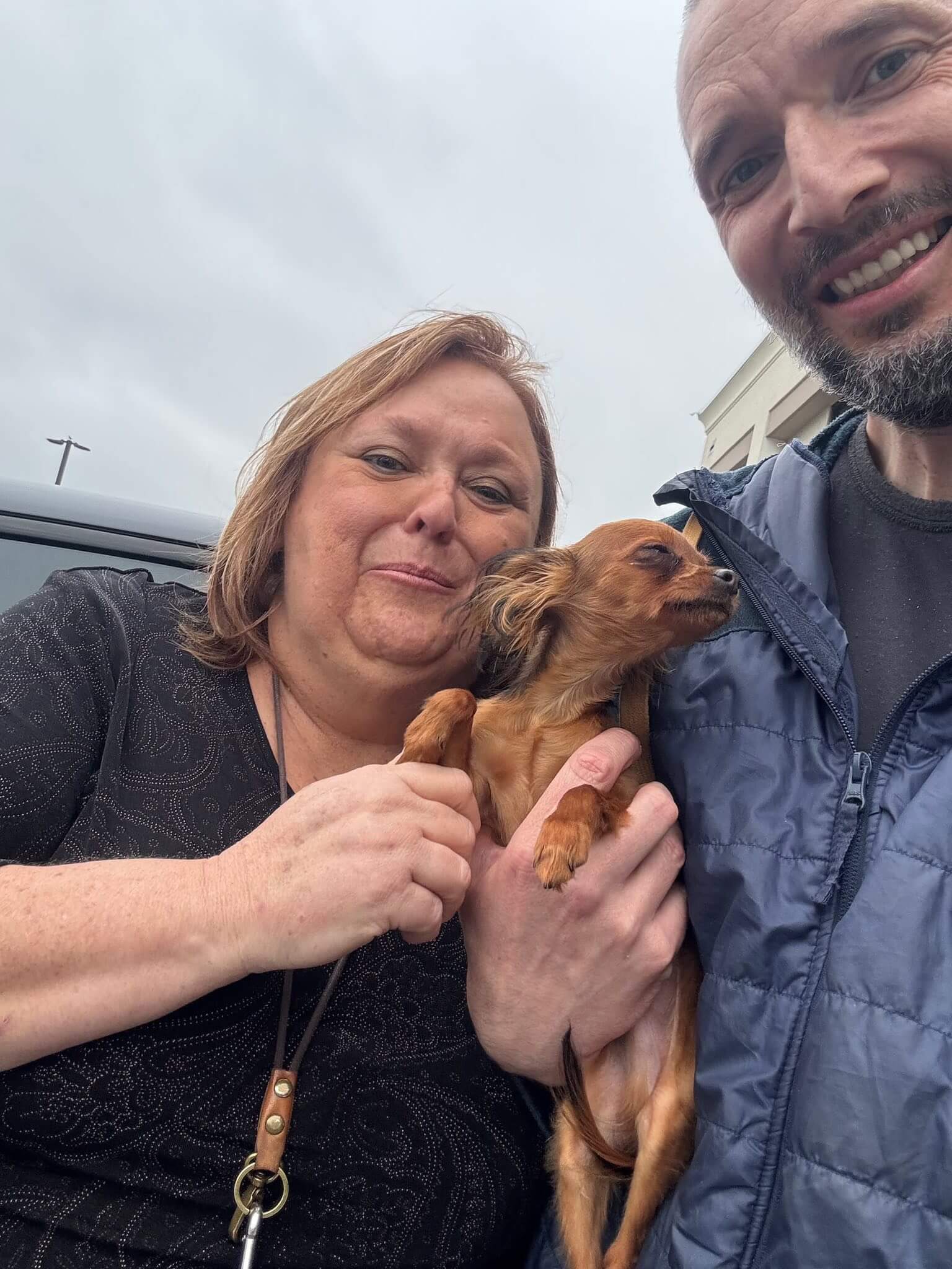 USA_Yeager_russian toy puppy travel1