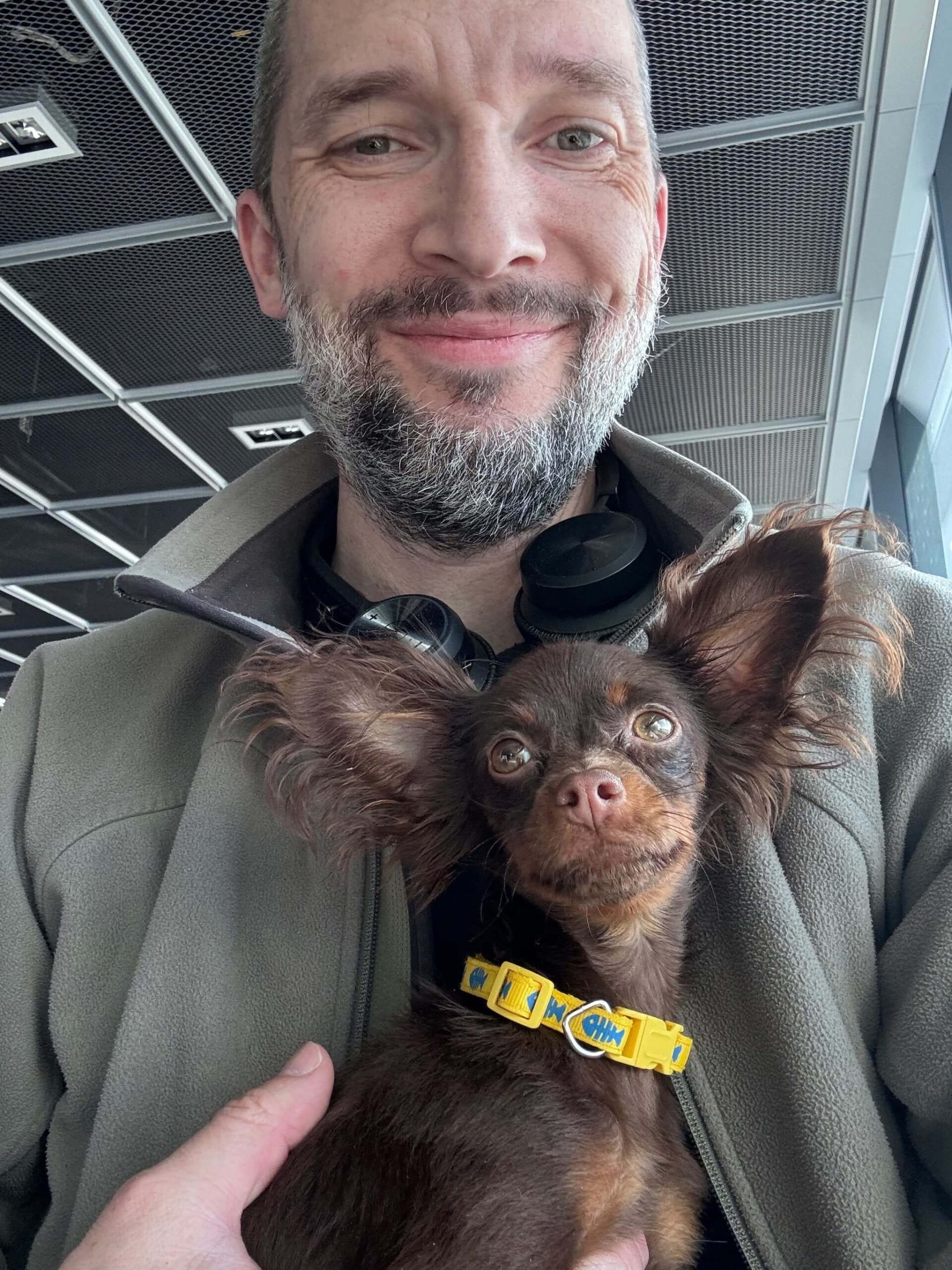 USA_Yuki_russian toy puppy travel2